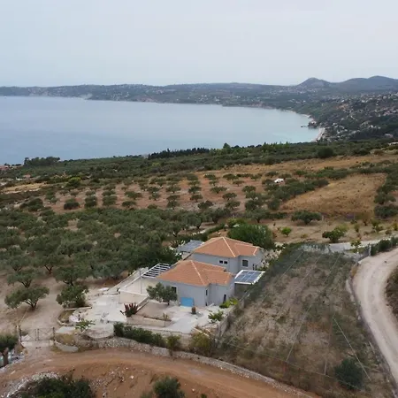 Liocharis Akro 1