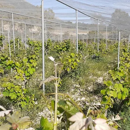 빌라 Liocharis Akro 1