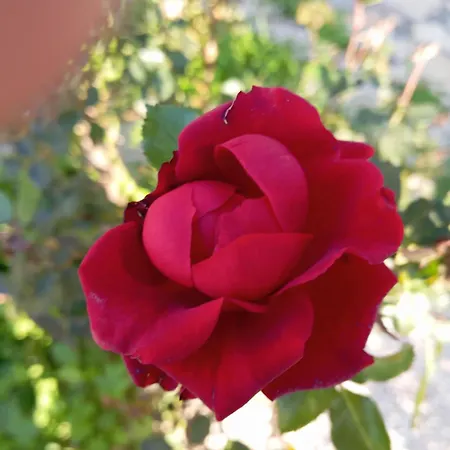 Liocharis Akro 1 빌라 로우드하타