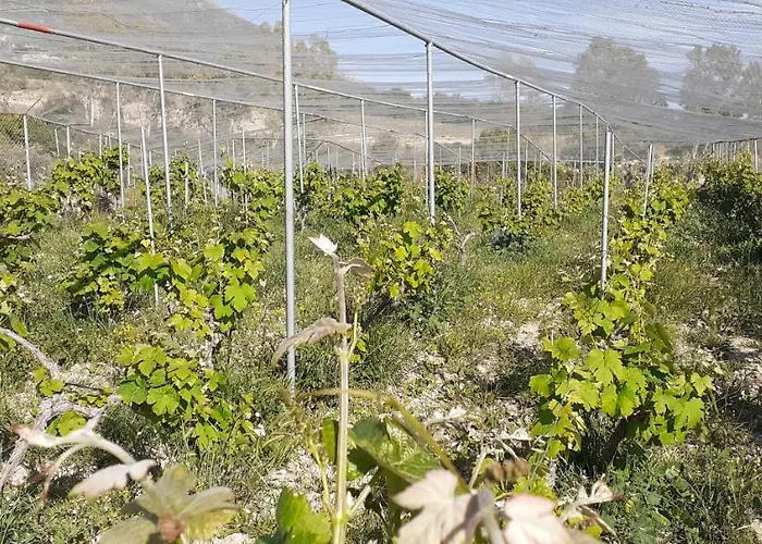 Villa Liocharis Akro 1