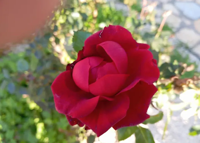 Liocharis Akro 1 Villa Lourdata (Kefalonia)